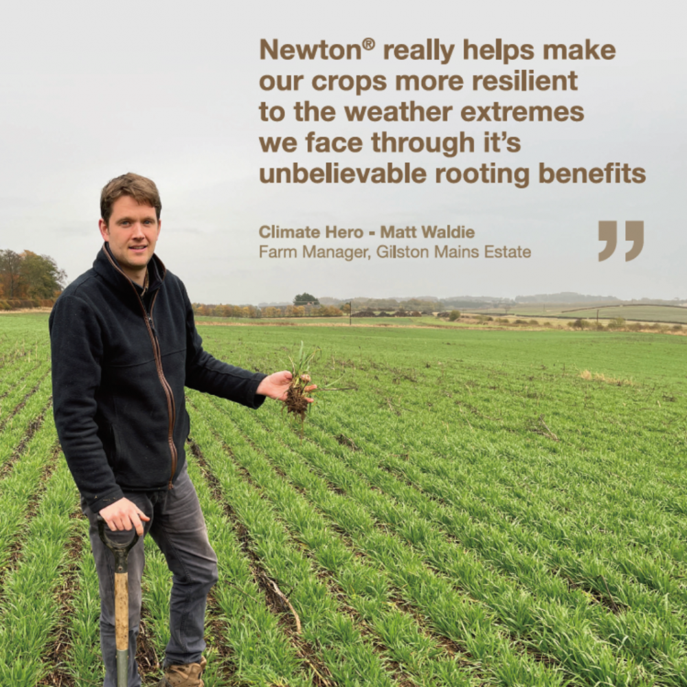 Newton biostimulant seed treatment really helps make our crops more resilient