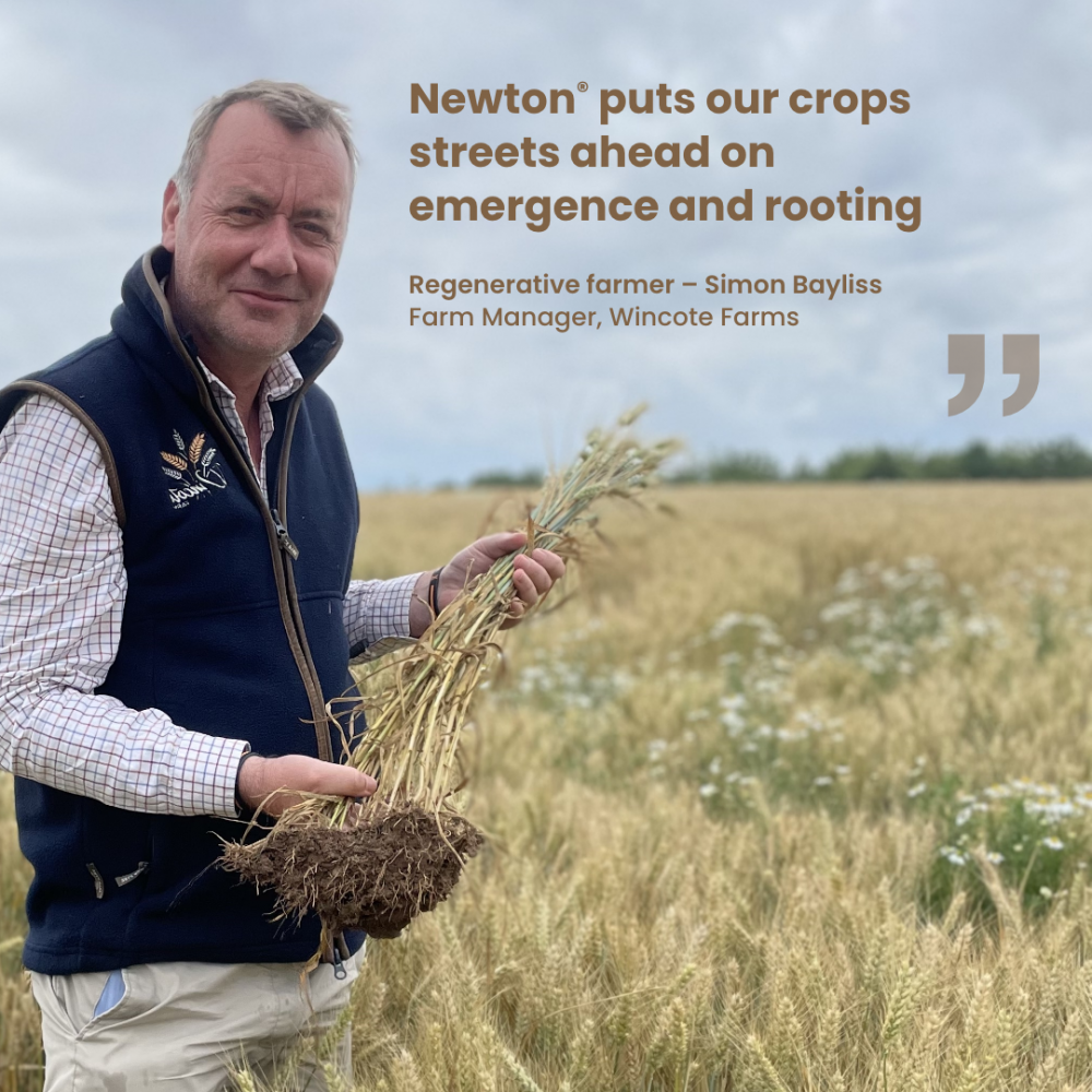 Newton biostimulant seed treatment helps us grow better crops
