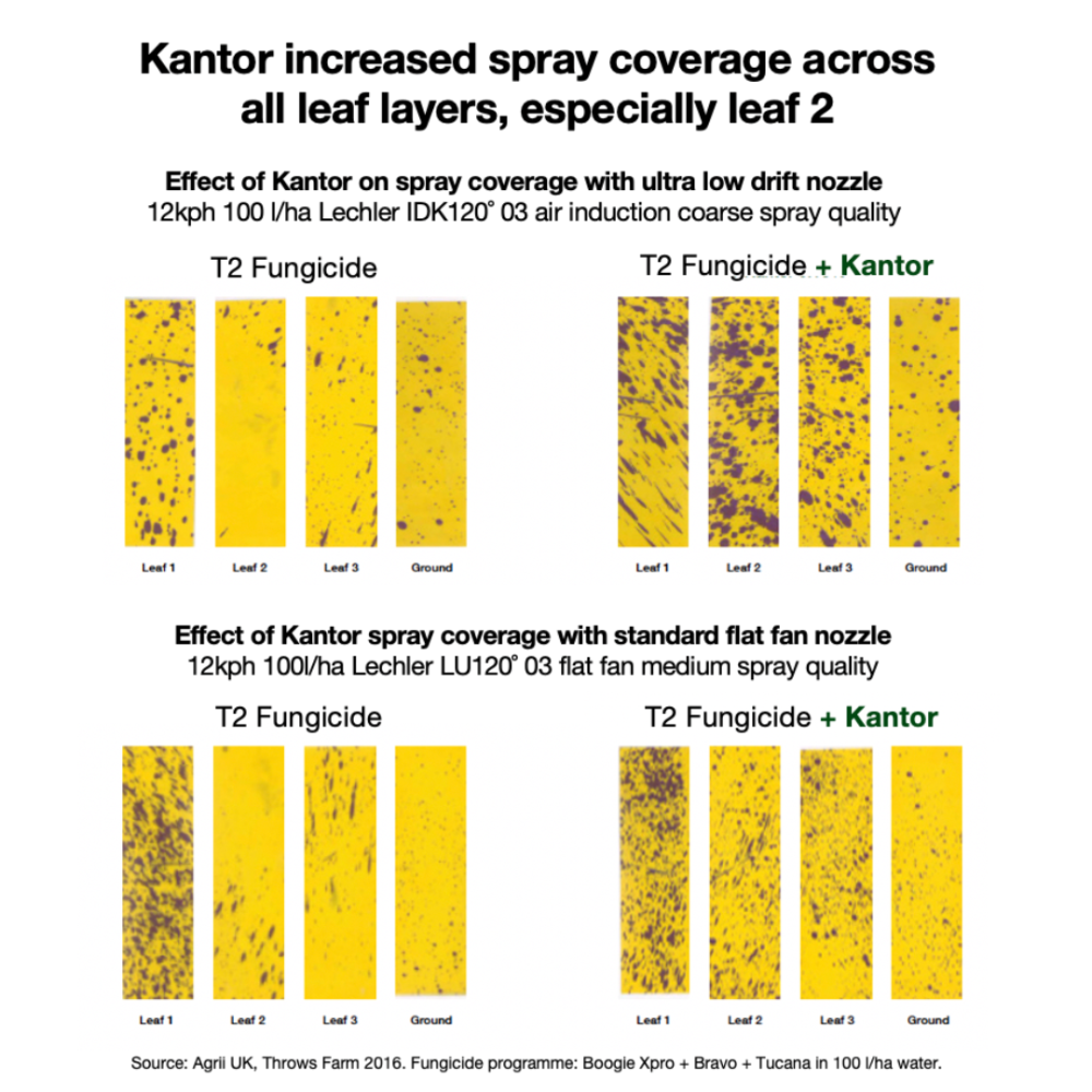 Achieve dependable crop protection results with adjuvant Kantor