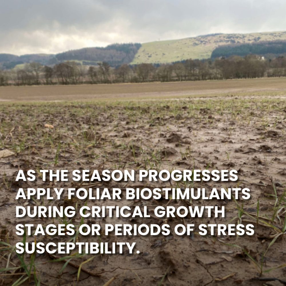 How to minimise crop stress during the season